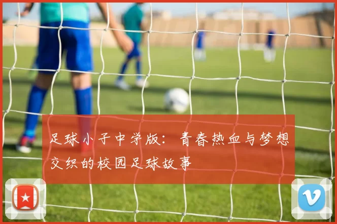 足球小子中学版：青春热血与梦想交织的校园足球故事