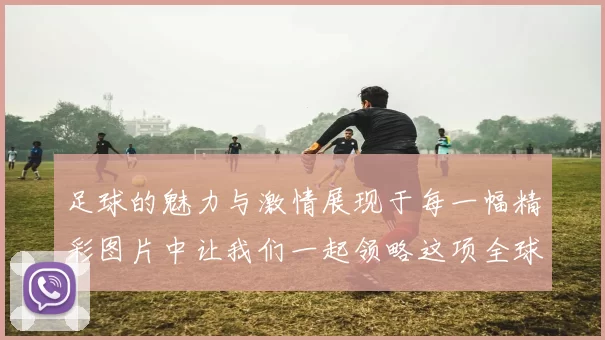 足球的魅力与激情展现于每一幅精彩图片中让我们一起领略这项全球运动的魅力与风采