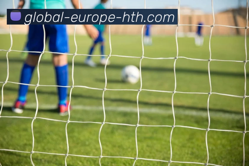 华体会平台生态图